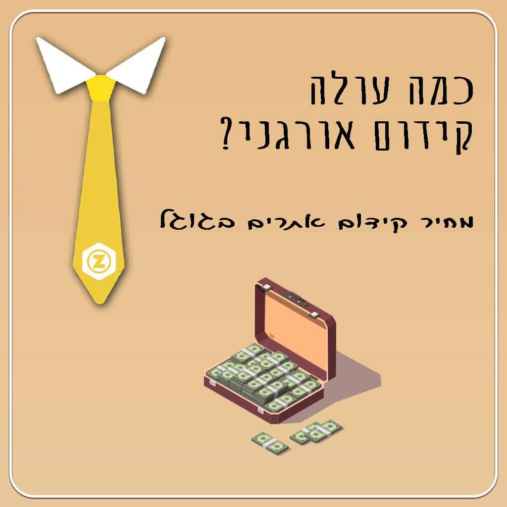 כמה עולה קידום אתרים?